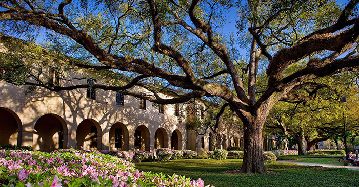 ایالت لوئیزیانا آمریکا