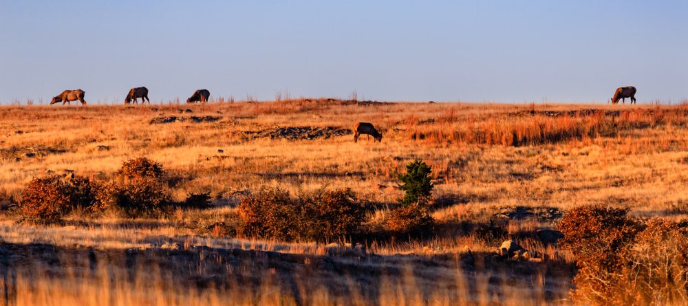 ایالت اکلاهما آمریکا